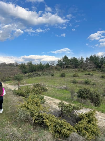 The image shows a hillside landscape under a bright, cloudy sky. There are green bushes and trees scattered across the hill. A narrow, dirt path is visible leading up the slope. In the lower portion of the image, a person's legs and shoes are visible, indicating the photographer's presence. The location is Kribul, Bulgaria.