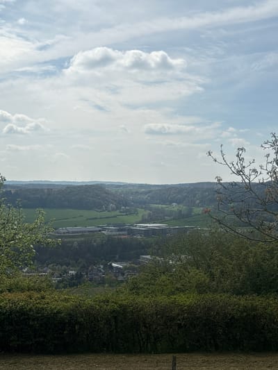 The image depicts a landscape view in Diekirch, Luxembourg, captured from an elevated perspective. The sky is prominently featured, showcasing a bright, slightly cloudy sky.
A valley stretches into the distance, containing cultivated green fields interspersed with trees and a small town or village. Buildings are clustered together, and the overall impression is that of a rural setting. A range of hills provides a backdrop.
In the foreground, vegetation consisting of trees and shrubs obscures part of the view. The vegetation gives the image a layered composition.