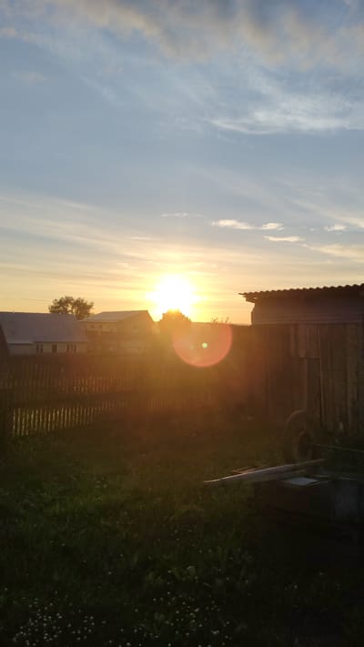This is a vertical, full shot of a rural scene at sunset. The sun, a brilliant golden orb, is low on the horizon, casting a warm glow and lens flare across the image. In the foreground, a dark, grassy yard with small white flowers is visible. A wooden fence runs horizontally across the middle ground, separating the yard from a row of houses and trees. The houses have light-colored roofs. To the right of the frame, a rustic wooden shed with a corrugated roof stands prominently. The sky above is a gradient of blue, with wispy clouds tinged with orange and yellow from the setting sun. The overall mood is peaceful and serene, evoking a sense of twilight in a quiet village. The location is identified as Yurla, Russia, suggesting a typical rural landscape.