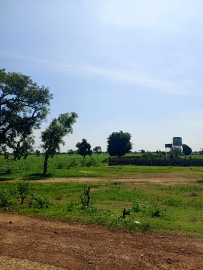 The image depicts a rural landscape in Kafin Madaki A, Nigeria. In the foreground, a dirt road made of reddish-brown soil and gravel is visible. Beyond the road, a grassy field stretches out, with some dry brush and scattered debris. Several trees of varying sizes are scattered throughout the field. In the mid-ground, a densely vegetated area with crops or thick grass is present. A low wall, possibly a fence, runs horizontally across the scene, with a dark-colored material on top. Behind the wall, a large, dark-colored water tank structure is visible, situated on a raised platform. The sky is clear and blue, with a few faint white streaks of clouds. The overall impression is of a dry, open, and sparsely populated area.