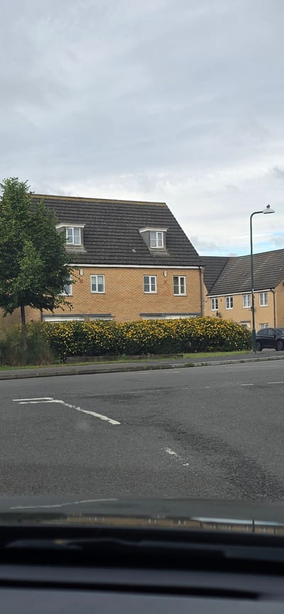 The image captures a street scene in Peterborough, United Kingdom, under an overcast sky. The foreground is dominated by an asphalt road with visible white lane markings. In the mid-ground, a row of modern brick houses with dark tiled roofs lines the street. These houses feature dormer windows on the upper floors and rectangular windows on the lower levels. A vibrant hedge, full of yellow flowers, runs along the front of the properties, separating them from the sidewalk and road. To the left of the houses, a mature green tree stands tall. A street lamp is visible on the right side of the image, and a dark-colored car is parked in front of one of the houses. The overall impression is a residential street with well-maintained properties.