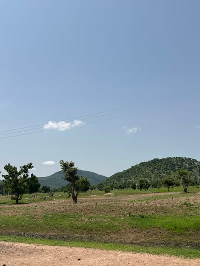 The image depicts a rural landscape in Dzhu'a-Khore, Nigeria. In the foreground, a dirt road runs horizontally, with sparse green grass and dark soil along its edge. Beyond the road, a field is visible, partly covered in brown, tilled soil and partly with green grass. Several trees are scattered across this field, some with dense green foliage and others with sparser canopies. In the mid-ground, a group of people, appearing small due to distance, are gathered near some of the trees on the left side of the image. The background features rolling hills covered in vegetation and scattered trees. The sky is a clear, pale blue with a few wispy clouds and overhead power lines stretching across the frame.