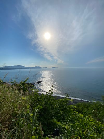 The image depicts a bright, sunny day overlooking a vast expanse of the ocean from a coastal vantage point in Nha Trang, Vietnam. In the foreground, lush green foliage and tall, dry grasses dominate the scene, obscuring the immediate cliff edge. The sea is a deep blue, reflecting the bright sunlight which creates a shimmering path across the water towards the horizon. A dark, rocky shoreline is visible where the ocean meets the land, with small waves gently lapping. In the distance, a series of hazy, blue-tinged islands and peninsulas form a gentle arc against the horizon. The sky is a clear blue with scattered, wispy white clouds, and the sun is a brilliant, almost blinding orb positioned high in the sky. The overall impression is one of natural beauty and serenity.