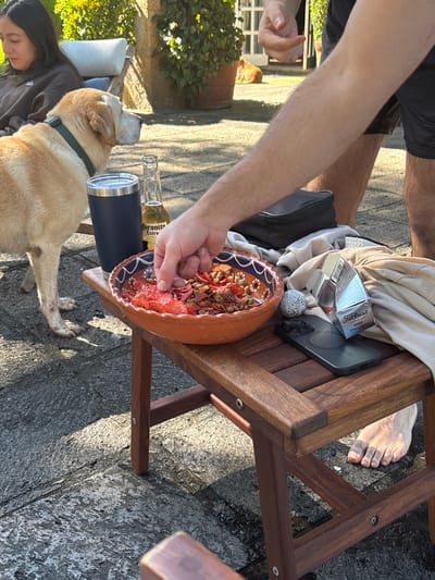 The image depicts an outdoor leisure scene in Huasca de Ocampo, Mexico, under bright, direct sunlight.
In the immediate foreground, a person's right arm, exhibiting light hair, extends towards a terracotta-colored ceramic bowl with a blue and white patterned rim. The hand is shown pinching a red, flat snack from the bowl, which also contains chickpeas and other dried, spiced items. A bare right foot with discolored toes is visible beneath a dark brown wooden slatted outdoor table. On this table, from left to right, are a dark blue insulated tumbler, a 210ml bottle of Coronita Extra beer, a black smartphone lying face down with a visible circular imprint on its case, a used white golf ball, and a white and red box labeled "Titleist PRO V1X" golf balls. A light-colored fabric is draped over the table's edge, and a small black zippered pouch is positioned behind it.
To the left of the table, a light-colored Labrador Retriever dog, wearing a green collar, stands facing right. In the midground, a female individual with dark hair, wearing a brown long-sleeved crew-neck shirt, is seated in a light-cushioned outdoor lounge chair, looking downwards. In the distant background, a second light brown dog is lying on a patch of grass. The environment features large potted plants with green foliage and sections of a light-colored building wall. The ground is a paved surface, likely stone or concrete pavers, showing irregular textures and areas that appear damp or reflective from the sunlight.