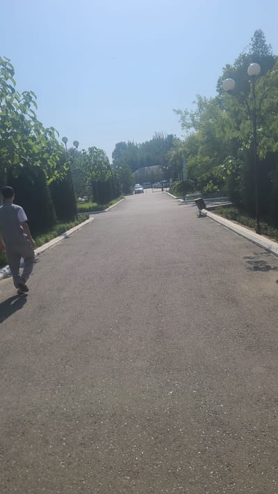 The image depicts an asphalt pathway in Kyzyltepa, Uzbekistan, flanked by lush green trees and manicured bushes. The pathway leads towards a distant structure, possibly a building, with several vehicles parked nearby. The sky above is a clear, bright blue, suggesting a sunny day. In the foreground, a man in a grey tracksuit is walking away from the camera, his silhouette casting a shadow on the ground. The pathway is well-maintained, with a white concrete border running along its sides, punctuated by lampposts and scattered seating. The overall scene conveys a sense of calm and order, typical of a public park or a well-kept outdoor area in a city.