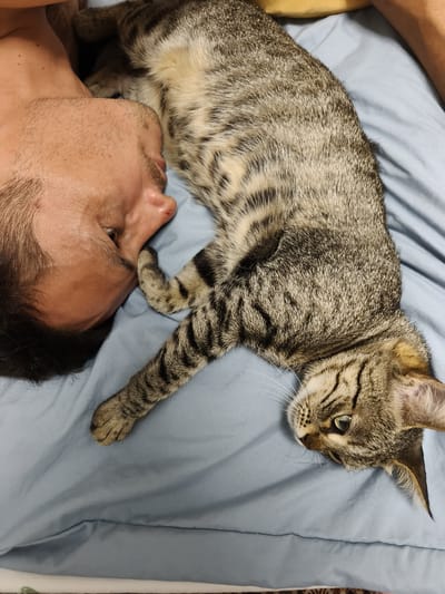 A close-up, high-angle shot shows a person lying on a light blue sheet with a tabby cat. The person's head is on the left side of the frame, facing downwards and to the right, with their eyes open and looking towards the cat. The cat is positioned on the right side of the frame, lying on its back, facing left, and looking at the person. The cat's body extends from the mid-frame towards the bottom right corner. The scene is indoors, on a bed, with a hint of a yellow pillow at the top edge of the frame. No external environmental details are visible to indicate the location in Balkanabat, Turkmenistan.