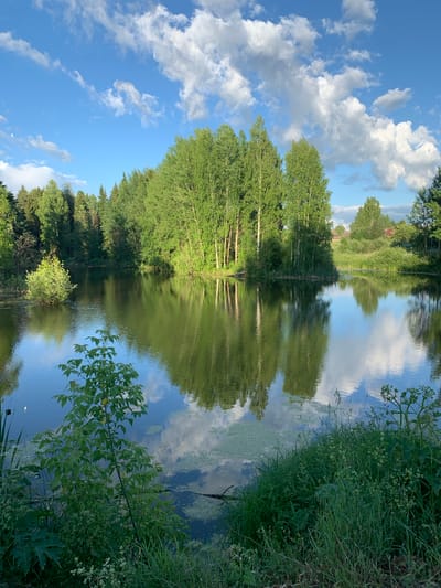 The image depicts a serene natural landscape, likely a pond or small lake, bordered by lush green trees and vegetation. The water's surface is calm, reflecting the surrounding trees and the bright blue sky filled with white, fluffy clouds. The scene appears to be a rural or semi-rural setting, with no immediate signs of urban development. It is possible this location is in or near the village of Svyatitsa, Russia, given the natural elements and vegetation typical of the region. The lighting suggests it is daytime, with the sun casting a warm glow. The foreground features dense grass and some wild plants, with a small tree or bush in the center foreground. The background shows more trees, and hints of buildings or structures can be seen in the distance, suggesting human presence but not overcrowding the natural environment.