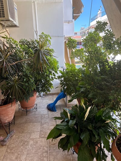 The image depicts a balcony in the city of Ilion, Greece. The balcony is tiled with beige, square tiles, some of which have decorative patterns. Several potted plants are arranged on the balcony.
In the foreground, to the left, is a large terracotta pot containing a plant with long, spiky, dark green leaves. This pot is elevated on a black, wrought-iron stand. Next to it, to the right, is another large terracotta pot, also on a stand, filled with a lush green plant that appears to be a Schefflera. In front of this pot, a blue plastic bag is partially covering something on the floor.
Further to the right, a large pot holds a peace lily plant with dark green, glossy leaves and several white spathes. Behind the peace lily, more plants create a dense green backdrop. To the far right, another terracotta pot is visible, partially filled with dark soil.
A light-colored wall forms the background of the balcony. Mounted on the wall, on the upper left side, is a white air conditioning unit. A thin white pipe runs vertically down the wall. Sunlight illuminates the scene, casting shadows from the plants onto the tiled floor. In the distance, through an opening in the balcony railing, several buildings with balconies and awnings are visible under a clear blue sky. A broom with a pink brush is leaning against the pot on the far left.