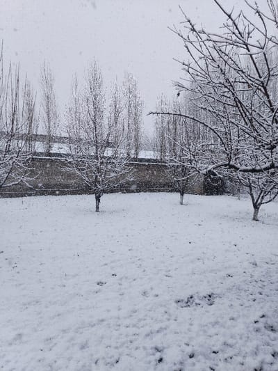 The image displays a snow-covered outdoor environment in Beshtam, Uzbekistan, during active snowfall. The foreground and mid-ground consist of a flat expanse covered by a uniform layer of white snow, showing several indistinct footprints or disturbances on its surface. Three smaller, bare deciduous trees, each with branches lightly dusted with snow, are visible in the mid-ground. Behind these trees, a textured stone or concrete wall extends horizontally across the frame, with snow accumulation visible along its top edge. Further back, a dense line of taller, slender, bare deciduous trees, also snow-dusted, rises above the wall, partially obscuring what appear to be snow-covered rooftops or structures in the far background. The sky is overcast and light grey, with numerous individual snowflakes discernible throughout the air, indicating ongoing precipitation. No individuals, animals, or specific actions beyond the natural snowfall are depicted.