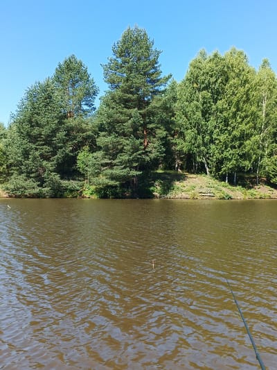 This is a photograph taken on a clear day with a bright blue sky, showing a body of water and a wooded shoreline. The water is dark and appears rippled, with a fishing rod extending into it from the lower right corner of the frame, and a red and white bobber visible on the surface. The shoreline is densely forested with a mix of tall pine trees and lighter green deciduous trees. A small clearing on the bank features a wooden picnic table and bench. The location is identified as Zheloba 2, Russia. There are no people visible in the image.