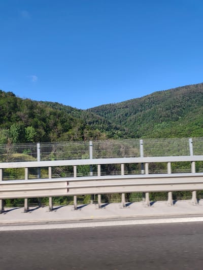 The image shows a view from a highway in Vrachesh, Bulgaria. The foreground features a concrete barrier and a metal guardrail, typical of a road. Beyond the guardrail, a wire mesh fence is visible, separating the highway from the natural landscape. The background is dominated by a verdant, tree-covered mountainside under a clear blue sky. The vegetation appears lush and dense, indicating a natural, undeveloped area. The sun is shining, casting shadows from the guardrail onto the concrete. There are no people or vehicles visible in the frame.