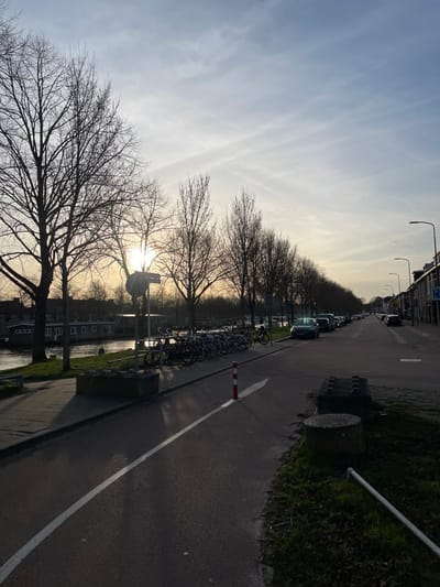 The image depicts a street scene along the Zuid-Willemsvaart canal on Citadellaan in 's-Hertogenbosch, Netherlands, viewed looking east-southeast during late afternoon or early evening. The sun is low in the sky, positioned behind a row of bare deciduous trees on the left, casting long shadows and creating a strong backlight.
On the far left, the Zuid-Willemsvaart canal runs parallel to the street. Several houseboats are moored along the canal's opposite bank. A narrow pedestrian path lines the near bank, situated beneath the silhouette of the trees.
Adjacent to the pedestrian path is a red-paved bicycle lane, delineated by a solid white line. A red-and-white striped flexible bollard is positioned on this lane. To the right of the bike lane, a large bicycle rack holds approximately 20-30 parked bicycles. A dark grey concrete planter or barrier is visible near the bike rack. A street sign, partially obscured by the sun, stands among the trees and bicycles.
The main thoroughfare, Citadellaan, runs parallel to the bike lane and canal. Numerous vehicles are parked along the right side of this road. The road extends into the distance, where it appears to curve slightly to the right.
On the far right, a row of multi-story residential buildings lines the street. Streetlights are visible at regular intervals along the road. In the immediate foreground on the right, a patch of sparse grass and dirt contains two large concrete blocks, possibly serving as bollards or street furniture, and a white pipe-like object lying horizontally on the ground.
No individuals are visible or engaged in specific actions within the frame. The bare trees indicate a winter or early spring season. The sky is pale blue with faint, wispy clouds.