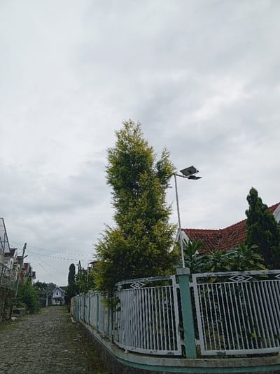 A narrow cobblestone street lined with houses under a cloudy sky. A tall, green tree stands beside a white metal fence with green posts. A street light with a solar panel is positioned next to the tree. A house with a red tile roof is partially visible behind the fence. Trees and foliage fill the space between the street and the buildings. Power lines stretch overhead along the street.