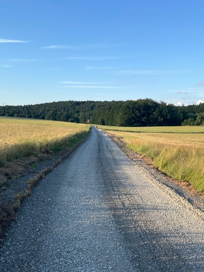 The image depicts a long, narrow gravel road stretching into the distance. The road is flanked on the left by a field of dry, golden grass that transitions into a dense forest of dark green trees. On the right, the road's edge is bordered by dry grass and dirt. The sky above is a clear, bright blue with a few wispy white clouds. The sun is low in the sky, casting long shadows across the road, suggesting it is either early morning or late afternoon. A small wooden structure, possibly a hunting blind or observation tower, can be seen in the distance within the field. The overall scene conveys a sense of peaceful isolation and a rural setting. The location is identified as Neustadt, Germany. There is no visible text in the image.