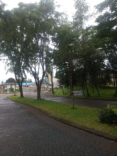 A paved brick road splits around a grassy median with trees and a vintage lamppost. Beyond the trees, buildings are visible, including one with a distinctive dome and another with blue paneling. An abstract sculpture stands near the buildings. A banner is partially visible among the trees. Overcast skies and damp pavement suggest recent rain. The scene conveys a sense of quiet park or garden setting.