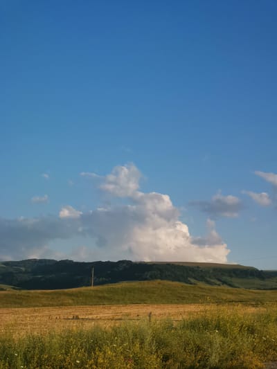 The image depicts a rural landscape with a clear blue sky dominating the upper portion. In the middle ground, rolling green hills are visible, with a dark green forested area along the crest of the furthest hill. A solitary utility pole stands vertically in the middle of a lighter green field. In the foreground, a field of dry, golden crop stubble extends horizontally, with a dense growth of green and yellow wildflowers in the immediate foreground. A few scattered white and pink wildflowers are interspersed within the greenery. The scene suggests an agricultural area, possibly in or around Kubina, Russia, given the context of the prompt, characterized by open fields, hills, and a vast sky. There are no people or animals visible in the image. The lighting indicates it is likely daytime, with the sun casting a warm glow on the landscape. The clouds are white and puffy, clustered towards the center-left of the sky.