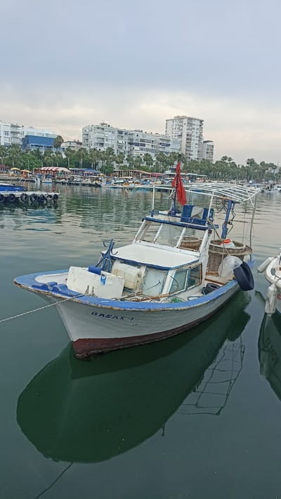 The image shows a close-up of a fishing boat docked in a harbor in Mersin, Turkey. The boat, named "BASAK T", is white with blue trim and has a red flag. The water is calm and reflects the boat and the buildings in the background. The buildings are modern and appear to be apartments or hotels, and are surrounded by palm trees. There are other boats in the background, as well as a floating dock with several buoys. The sky is overcast.