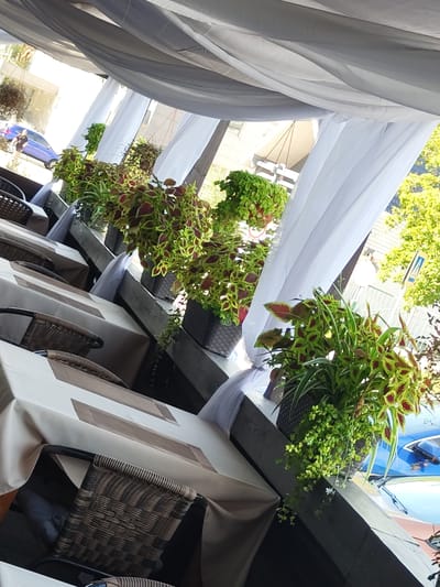The image depicts an outdoor seating area of a cafe or restaurant in Zhukovsky, Russia. Tables are covered with light-colored tablecloths and set with placemats. Wicker chairs are placed around the tables. Potted plants with vibrant green and red foliage are arranged along the edge of the seating area, adding a decorative element. White fabric drapes are suspended overhead, creating a canopy. In the background, a blue car is visible on a street, suggesting an urban setting. The overall ambiance is one of a pleasant outdoor dining space.