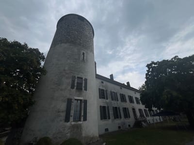 The image presents a static, exterior view of the La Tour-de-Peilz Castle in La Tour-de-Peilz, Switzerland. No individuals are present within the frame. The central subject is a large, light-colored building composed of two primary sections: a prominent cylindrical tower situated on the left, and an attached multi-story rectangular structure extending to the right.
The tower exhibits a stuccoed or plastered lower facade, transitioning to exposed stonework on its upper, slightly narrower section. Three rectangular window openings are visible on the tower: two lower ones equipped with dark, either partially or fully closed shutters, and a singular, un-shuttered opening positioned higher. The adjacent rectangular building features a light-colored facade with multiple rows of uniformly spaced rectangular windows, each fitted with dark, closed shutters. Several dark chimneys are visible along the building's roofline. An external staircase provides access to an entrance on the right side of this structure.
Large deciduous trees with dense, dark green foliage flank both sides of the building. One tree partially obscures the left side of the tower, while another extends over the right portion of the rectangular building. A dark, possibly blue or black, canopy or tent structure, complete with visible support poles, is erected on the green grass beneath the tree on the right. The ground in the immediate foreground consists of manicured green grass and low shrubbery. The sky is uniformly overcast with substantial cloud cover, producing a diffused and even ambient light across the scene.