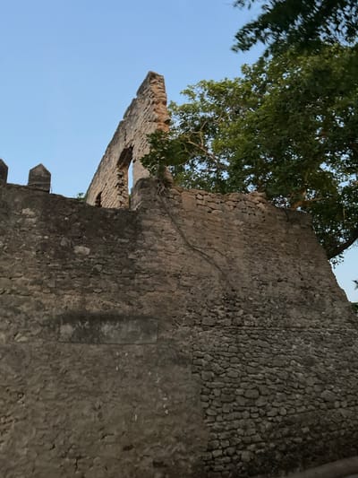 The image displays an ancient stone wall or ruin, likely part of a historical structure in Bagamoyo, Tanzania, with lush greenery and a clear sky. The photo is oriented vertically when viewed upright, but is originally rotated 90 degrees clockwise.
The central subject is a substantial wall constructed from rough, dark-grey stones. The stonework is irregular, showing variations in size and pattern, suggesting age and possibly different construction or repair phases. Some sections of the wall appear to have a more uniform, tightly packed stone texture. The wall features remnants of battlements or crenellations along its top edge in the foreground, indicative of defensive architecture. Further along, a section of the wall is broken and crumbling, creating a jagged silhouette against the sky.
A large, vibrant green tree with dense foliage is prominently featured, growing alongside and partially over the wall. Its roots are visibly integrated into the stone structure, emphasizing the natural erosion and reclamation over time. The sky is a clear, light blue, suggesting daytime and fair weather conditions. No human activity or specific events are depicted. There is no discernible text visible in the image.
