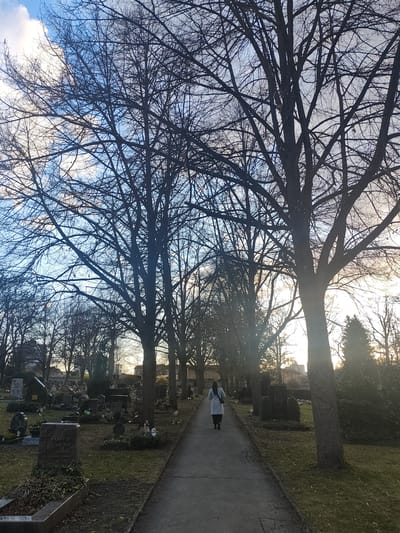 The image depicts a pathway through a cemetery in Bayreuth, Germany, likely during late autumn or winter. A single individual is visible, walking away from the viewer along the paved path that recedes into the distance. The person wears a light-colored coat and dark trousers, with a dark bag slung over their left shoulder.
On both sides of the path, grave plots and headstones are visible. To the left, a prominent dark grey granite headstone in the foreground reads "FAMILIE SPYTH" with the dates "GEB. 1920-1999." Surrounding this and other graves are patches of green ground cover, possibly ivy, and sparse grass.
Tall, deciduous trees with bare branches line both sides of the path, creating a natural archway and obscuring much of the sky directly overhead. The sky shows a mix of bright blue patches and white clouds, with strong sunlight filtering through the branches, particularly on the right side of the frame, suggesting either early morning or late afternoon. Distant buildings are faintly visible through the trees in the background. The ground consists of a grey paved path and areas of brown earth and scattered green grass or moss. No direct interactions between people or subjects are observable.