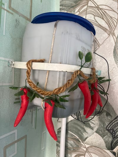 An upside-down, translucent plastic container with a blue lid is mounted to a wall. A thick rope is wrapped around the container and adorned with several red chili peppers and artificial green leaves. The container is attached to the wall with a metal bracket. The wall behind the container has a patterned wallpaper. The scene appears to be indoors, possibly in a residential setting in Kovriga, Russia.