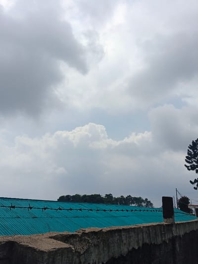 This image depicts a scene in Uato Carabar, Timor-Leste, under a largely overcast sky featuring extensive grey and white cloud formations. The lower third of the frame is occupied by a weathered, rough-textured concrete wall, appearing dark at its base. Immediately beyond this wall, a prominent teal-colored corrugated metal roof extends horizontally, angled slightly downwards from left to right. A single strand of barbed wire with numerous barbs is stretched across the visible crest of this roof. To the far right, a dark, rectangular post is visible rising from behind the concrete wall, positioned near the barbed wire. In the background, above the roofline, a dense cluster of dark green trees forms a distant tree line, suggesting a forested hill. A portion of a tall, dark green coniferous tree is visible on the far right, extending upwards, and faint utility lines or structures are subtly discernible further right. No individuals or specific actions are depicted.