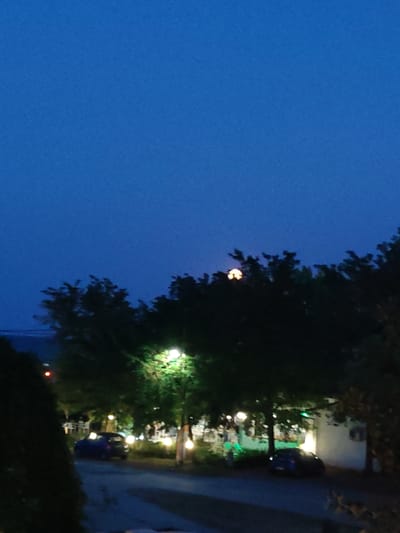 This image captures a dusk scene in Limani Litochorou, Greece. The sky is a deep, clear blue, transitioning from twilight into night. In the upper center of the image, a luminous, round object, possibly the moon or a bright light, is visible through a line of silhouetted trees. These trees are dark and dense, with some foliage illuminated by strategically placed outdoor lighting. Several trees are adorned with warm, yellow string lights, casting a soft glow on their branches and the surrounding area.
Below the trees, a blue car is parked on what appears to be a road or parking area. To the left of the car, tables and chairs are set up, suggesting an outdoor dining or seating area for a establishment. A white building is partially visible in the background, with some lights on. The overall impression is one of a peaceful, ambient evening setting, likely a resort or seaside town area.