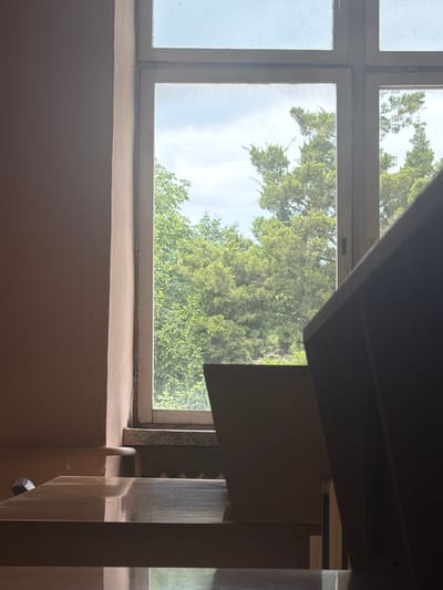 The image shows an interior view of a room with a window. Outside the window, there is a view of green trees against a cloudy sky. The window frame is white and appears to be divided into multiple panes. In the foreground, parts of what seem to be stairs are visible, constructed from wood. The walls are painted in a neutral brown. There is no evidence to place this image in Dolna Mitropolia, Bulgaria.