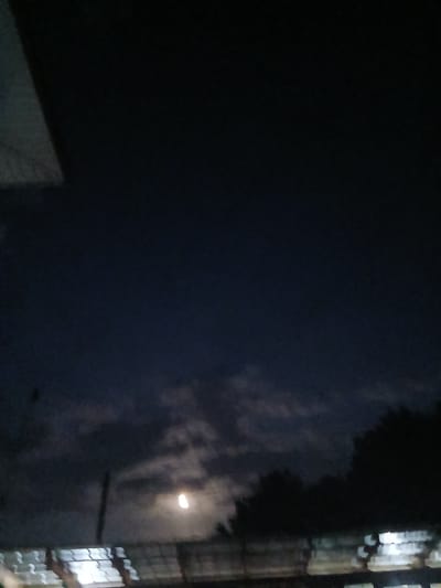 The image shows a dark, cloudy night sky with the moon partially visible and glowing brightly. Silhouetted trees and structures are visible in the foreground, obscuring much of the ground. The overall scene is dimly lit, suggesting it was taken at night. There are no visible people or specific landmarks that would indicate a precise location within the city of Auk, Kyrgyzstan. The environment appears to be outdoors, possibly in a more rural or suburban area given the presence of trees and what seem to be roofs of buildings.