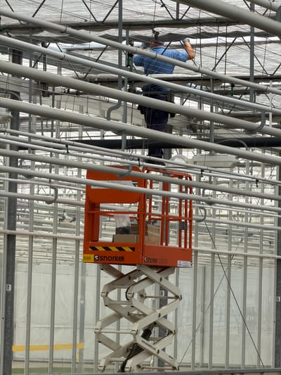 The image shows a person in a greenhouse, operating a scissor lift. The greenhouse structure is visible, with numerous vertical pipes and a translucent roof. The person is wearing blue overalls and is positioned within the basket of the orange scissor lift. The scissor lift itself is a prominent object in the foreground, with its mechanical arm extended. Some boxes are visible in the basket of the lift. The background is filled with the repeating patterns of the greenhouse structure. The lighting suggests it is daytime. Text visible on the scissor lift includes "S98 Snorkel" and a website address which appears to be www.snorkel.com. The setting is a greenhouse, likely in Maasdijk, Netherlands, given the context. The activity depicted is the operation of the scissor lift, presumably for maintenance or work within the greenhouse.