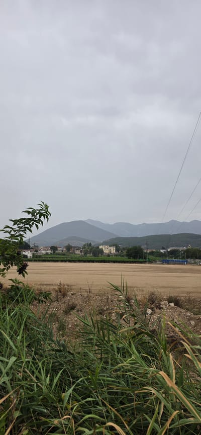 A wide-angle, vertical outdoor shot depicts a landscape under an overcast sky. In the foreground, lush green grass and foliage are prominent, with some dry stalks interspersed. Beyond this, a large, flat, dirt field stretches across the middle ground. In the distance, a line of buildings, including a yellow structure, are visible, backed by rolling green hills and layered mountains fading into the haze. Overhead, power lines crisscross the sky. The scene appears to be located in Telese Terme, Italy, given its characteristic hilly terrain and Mediterranean vegetation.