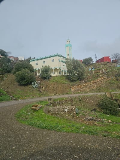 The image depicts a mosque located on a verdant hillside in Moqrisset, Morocco, under an overcast sky. The mosque features a pale yellow main building with a distinct light teal/turquoise trim on its decorative crenelated parapet and arched windows forming a lower-level arcade. A tall, square minaret with matching pale yellow and light teal/turquoise accents, topped with a small dome and finial, rises from the right side of the main building. The minaret has two vertical dark lines on each visible face.

In the foreground, a dark, granular paved road curves from the lower left towards the center and right, bordered by green grass. Adjacent to the road, on the uphill side, are areas of dense green vegetation interspersed with exposed soil and rocks. Small concrete structures, possibly part of a drainage system, are visible near the road's edge.

The hillside behind the road ascends steeply, covered with green grass, scattered trees with dark green foliage, and agave-like plants. Terraced sections of the hillside are evident, constructed from stone. In the background, to the left of the mosque, several white and light-colored residential buildings are visible on higher ground. To the right of the mosque, a prominent red building with a flat roof is situated on the upper slope, and utility poles with power lines are also present. No individuals or discernible activities are observed.