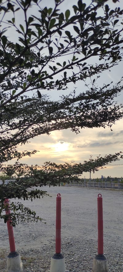 This image captures a serene outdoor scene at dusk, possibly in Meunasahaluedrienlhoksukon Barat, Indonesia. The foreground is dominated by the silhouette of a leafy tree, its branches casting intricate shadows across the frame. Beneath the tree, two red cylindrical posts with loop tops stand firmly planted on concrete bases, spaced apart on a gravelly ground.
In the mid-ground, a fence made of horizontal metal bars separates the immediate area from a slightly more distant landscape. Beyond the fence, the ground appears to be a level expanse, perhaps a field or a sparsely developed area. The horizon is marked by a line of indistinct structures and foliage.
The sky is a canvas of soft light, indicating either sunrise or sunset. The sun is partially obscured by clouds, casting a warm, diffused glow. The clouds themselves are a mix of light and darker tones, suggesting a dynamic sky.
There is no visible text in the image. The overall mood is tranquil and peaceful, with the natural elements of the tree and sky contrasting with the man-made posts. The time of day, with its soft lighting, contributes to a sense of calm and quietude.