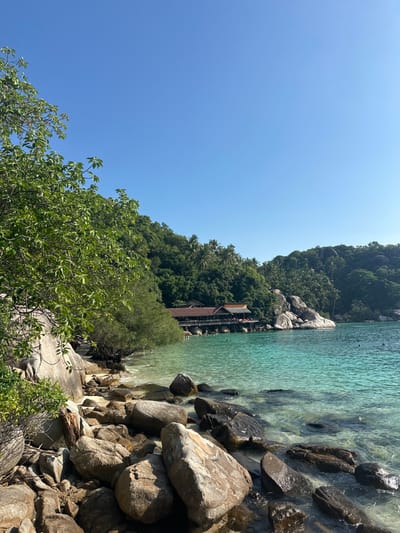 This image depicts a tropical coastal scene in ตำบล เกาะเต่า, Thailand, under a clear, bright blue sky. The foreground features a rocky shoreline composed of numerous light-to-dark grey boulders, some partially submerged in the translucent, turquoise-blue ocean water. Green foliage from trees and shrubs is visible on the far left, bordering the rocky beach.
In the midground, the calm, clear water extends towards a prominent wooden structure built on stilts over the water. This building features multiple sections with distinct reddish-brown gabled roofs and an open-air deck or balcony. Approximately 5-10 indistinct figures are visible on the deck of this structure. Scattered throughout the water, near the building and further into the bay, are approximately 10-15 individuals swimming or wading.
The background consists of steep, lush green hills densely covered with tropical trees, including palm trees, rising directly behind the stilted building and continuing along the coastline. Large, smooth, light-colored rock formations are interspersed within the foliage on the hillsides and at the water's edge further along the bay. The sky above is entirely clear and cloudless.
