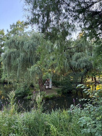 A miniature, fairy-tale style house sits nestled among lush greenery on a small island in a dark body of water, likely a pond or lake. The house has a brown, gabled roof with white trim and a dark facade, and features a prominent bay window. It is surrounded by a variety of trees, most notably a large weeping willow with cascading branches that dominate the left side of the frame. The water reflects the surrounding trees and a bright, yellow glow, suggesting late afternoon or early morning sunlight. The foreground is filled with dense, green vegetation, including tall grasses and smaller plants with purple flowers. The overall impression is one of a serene, almost whimsical, natural setting. This scene is located in the Kurpark of Bad Orb, Germany.