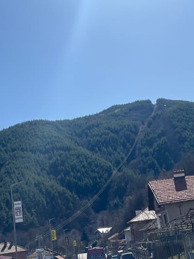 The image displays an outdoor scene in Mesta, Bulgaria, on a clear, sunny day, with a forested mountain dominating the background and a village settlement in the foreground. A large mountain, densely covered with green trees, rises steeply under a clear blue sky. A visible cleared path or ski slope, accompanied by what appear to be ski lift cables or power lines, ascends the mountainside from the lower-mid right towards the upper-center. Near the mountain's peak along this cleared path, a structural element, possibly a tower, is discernible.
In the midground and foreground, residential buildings with reddish-brown tiled roofs and light-colored facades are visible. A street traverses the midground, populated by several street light poles. One pole on the left features a white banner with the text "ОБЩИНА БАНСКО" (Municipality of Bansko) and an emblem. Additional street lights further right display yellow banners, possibly advertising "EFBET". A red van with a Mercedes-Benz logo on its rear is partially visible on the street, alongside other indistinct vehicles. In the lower right foreground, dark, bare trellises or similar structures are present. No individuals are depicted.