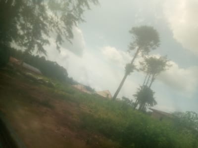 The image depicts an outdoor scene in Mayo Ndaga, Nigeria, under a bright, overcast sky. The foreground is dominated by a sloping, reddish-brown dirt path, partially covered with sparse, green vegetation. The middle ground reveals a slightly elevated landscape with more dense green foliage and several structures.
Among the prominent features are three tall, slender trees with sparse foliage, silhouetted against the sky. In the background, several buildings with reddish-brown roofs are visible, nestled amongst trees and greenery. One building appears to have a solar panel array on its roof. The overall impression is of a rural or semi-rural setting, possibly a residential area or a small community.
The weather appears to be hazy or possibly misty, as indicated by the soft focus and diffused light. The time of day is suggested to be daytime, given the brightness of the sky, but the overcast conditions make it difficult to pinpoint a specific time. There are no people or animals visible in the image, and no text is discernable. The scene evokes a sense of quietude and natural surroundings, typical of a daytime in a tropical or subtropical region. The diagonal orientation of the shot, with the path leading upwards into the scene, adds a dynamic element to the composition.
