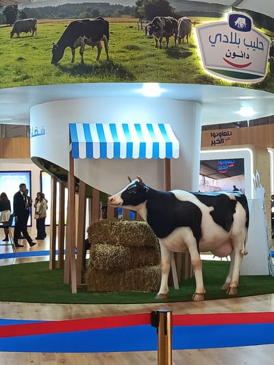 This media file captures an indoor exhibition display, likely at a trade show or event in Al Machouar – Stinia, Morocco. The central foreground features a lifelike, black and white cow statue standing on artificial green grass, next to a pile of hay bales. Behind the cow is a small booth-like structure with a blue and white striped awning and wooden supports, designed to resemble a farm stall.
In the background, a large mural acts as a backdrop, depicting several cows grazing in a lush green pasture with trees and hills under a bright sky. To the right of the mural, a prominent, illuminated sign shaped like a shield displays Arabic text: "حليب بلادي دانون" (Halib Beladi Danone - My Country's Milk Danone), accompanied by a red, curved line below the text.
Several individuals, including men in suits and a woman, are visible in the background, blurred but appearing to be attendees or staff moving around the display. On various screens or panels in the deeper background, the Arabic phrase "نتعاونوا على الخير" (Nata'awanu ala al-khayr - We cooperate for good) is visible multiple times. Another partial Arabic word, "فضل" (Fadl), is seen on a curved white structure. The flooring around the artificial grass is a light wood-patterned surface, with a red and blue striped border clearly visible in the immediate foreground. The overall scene suggests a promotional setup for dairy products, highlighting a connection to natural farming and community.
