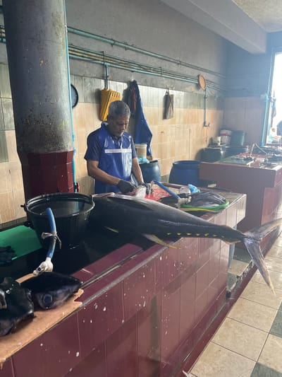 A man wearing a blue apron and black gloves is cleaning a large tuna fish on a tiled surface in a market. The fish is mostly dark blue with yellow fins. There are several smaller fish in a green bowl to the right of the tuna. A large black bucket filled with water is to the left of the tuna, with a blue hose extending from it. The background shows tiled walls, pipes, and other market stalls. The scene appears to be indoors with natural light coming from an opening to the right. This image is likely from the Malé Fish Market in the Maldives, a popular tourist destination known for its fresh seafood.