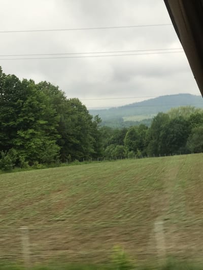 The image depicts an outdoor rural landscape under an overcast sky, observed through what appears to be a moving vehicle window. In the upper portion, a pale grey sky is bisected horizontally by multiple faint power lines. Below the power lines, distant, hazy blue-green hills or mountains define the horizon. A dense line of varied green deciduous trees forms the middle ground, extending across the frame. At the base of the trees, a fence with numerous slender white posts separates the tree line from the foreground. The foreground is occupied by a large, sloping agricultural field of cut grass or hay, exhibiting distinct linear patterns consistent with recent mowing. The field's colors vary from green to light brown, with significant motion blur suggesting the image was captured from a moving perspective. On the far right, a dark, angled vertical obstruction, likely a window pillar or door frame, partially obscures the scene. The scene is located in Krasnoilsk, Ukraine.