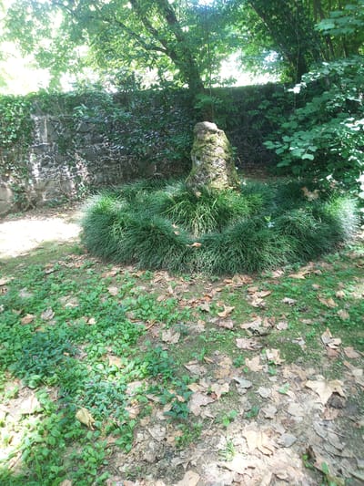 The image shows a moss-covered stone structure in the center of a circular bed of ornamental grass, situated in a park. The stone structure is rough and irregular in shape, with patches of moss clinging to its surface. It stands tall, resembling a natural rock formation or a weathered tree stump. The ornamental grass is densely packed and forms a neat, circular ring around the base of the stone. The grass is a vibrant green, with fine, blade-like leaves that create a soft, lush appearance. The ground surrounding the grass bed is covered with fallen leaves and small green plants, suggesting an outdoor setting in autumn or late summer. In the background, a stone wall, partly covered in ivy, forms a backdrop to the scene. Lush green foliage from trees and bushes can be seen on the left and right sides of the image, with sunlight filtering through the leaves and creating dappled shadows on the ground. The overall impression is one of a serene and well-maintained garden. The location is identified as the Parc de la Draga in Olot, Spain.