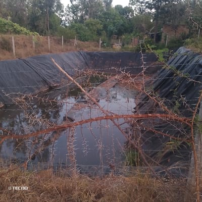 A water storage pond lined with a black plastic material is captured. The water inside reflects the sky. A thorny branch obscures part of the view, crossing in front of the pond. The pond is surrounded by a wire fence and stakes. Green trees populate the background. Grass and dry vegetation cover the ground in the foreground. A small building can be seen in the background on the right side of the pond.