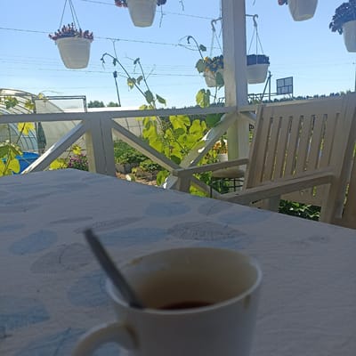 A partially blurred white mug containing a dark liquid and a spoon rests on a white tablecloth with a blue circular pattern. The mug is positioned on a table in the foreground, to the right of the frame. Beyond the table, a wooden porch railing separates the viewer from a garden. In the garden, rows of plants are visible, along with a blue barrel and the curved roof of a greenhouse. Hanging baskets with flowers are suspended from wires above the porch, against a clear blue sky. A light-colored wooden chair is also visible on the porch, to the right of the mug. In the background, trees form a distant treeline, and a dark, rectangular structure on a pole stands in the middle ground. The overall scene depicts a tranquil outdoor setting, likely a porch overlooking a garden on a sunny day in Shakhunya, Russia.