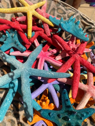 The image displays a close-up, overhead view of a collection of vibrantly colored, dried starfish artfully arranged on a patterned fabric. The starfish are in various sizes and hues including yellow, red, pink, blue, purple, orange, and teal. Some of the starfish exhibit intricate textures and raised details. The fabric beneath them has a leopard-print pattern. The lighting suggests an outdoor setting with shadows cast across the starfish. The image is undated and its specific location within Conil de la Frontera, Spain, is not discernible from the visual information provided. There are no people or actions depicted in the scene.
