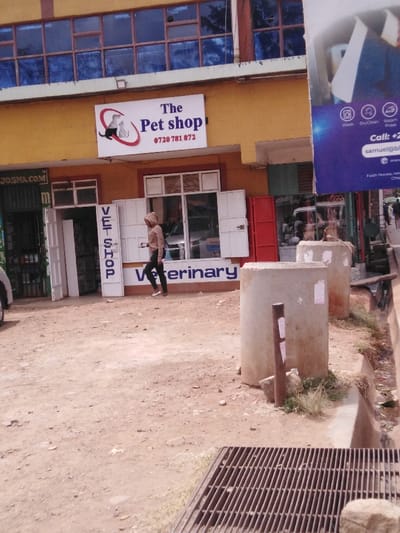 A daytime exterior view captures a commercial street in Kikuyu Township ward, Kenya, characterized by an unpaved dirt ground with scattered debris. The central focus is a two-story building, painted yellow, housing "The Pet shop" and "Veterinary" services on its ground floor. A white rectangular sign above the entrance displays "The Pet shop," a logo of a cat and dog, and the phone number "0720 781 872." Vertical signage reading "VET SHOP" is visible on a white panel to the left of the main entrance, while "Veterinary" is written horizontally below the shop's windows. The shop entrance features partially open white bi-fold doors. To the immediate left, a green metal rolling shutter indicates "JOSMA.COM," and to the right, a red metal shutter is present. The upper floor of the yellow building has multiple windows with blue-tinted glass.

A single individual walks across the unpaved foreground from left to right, directly in front of the pet shop. This person wears a light-colored, possibly patterned, hooded top, dark trousers, and white shoes, holding a small object in their right hand. In the right mid-ground, two light-colored concrete cylindrical structures stand near a shallow drainage ditch. A small wooden post is embedded in the ground next to the leftmost concrete cylinder. The bottom right corner of the frame reveals a metal grate covering a section of the ditch. A large, partially visible blue banner on the far right displays text related to services like "Wash," "DryClean," "Steam Press," along with a phone number and the address "Faith House, Kikuyu," confirming the location. A white vehicle is partially visible on the far left.