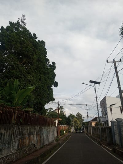 A quiet asphalt road stretches between weathered concrete walls and lush foliage under a cloudy sky. Tall trees and banana plants thrive beside a rusty corrugated fence. Overhead, power lines crisscross between utility poles. Houses peek out between the greenery. In the distance, figures on motorcycles are seen on the road. A serene residential scene with a touch of aged charm.