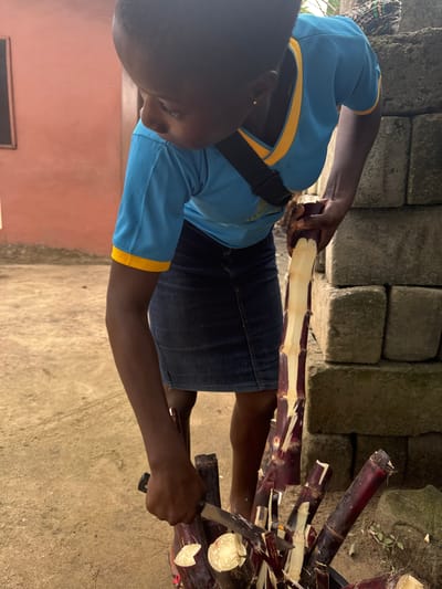 In Ganyingbo, Nigeria, a young individual is depicted outdoors, focused on preparing sugarcane. They are wearing a blue t-shirt with yellow trim and a dark denim skirt. The individual is in the process of peeling a stalk of dark purple sugarcane using a knife, with several other peeled sugarcane stalks arranged in a black container at their feet. The background features a textured, reddish-pink wall on the left and a stack of gray, rough-hewn concrete blocks on the right, with some sparse greenery visible near the blocks. The ground appears to be a mix of sand and dirt.
