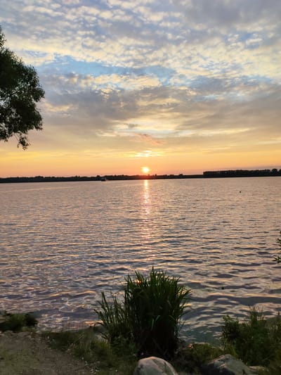 This is a vertical, full-shot, outdoor, daytime photograph taken at a lake during sunset. The sky is filled with a variety of clouds, ranging in color from white and grey to pink and orange hues, with patches of blue sky visible. The sun, a bright orange orb, is low on the horizon, casting a shimmering golden reflection across the calm water of the lake. The distant shoreline is lined with dark green trees, creating a distinct horizontal line across the image. In the foreground, the edge of the lake is visible, with a rocky, sandy shore. Lush green grass and reeds grow along the water's edge. A dark tree branch with green leaves hangs from the upper left corner of the frame. A small, dark object, possibly a buoy or a bird, is visible on the water in the middle distance to the right of the sun's reflection. Another boat is visible in the distance to the right of the sun. The overall scene depicts a serene and colorful sunset over a tranquil lake. This image is of the lake in Selivanovo, Russia.