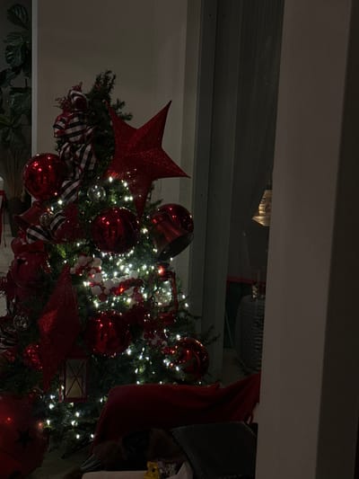 The image depicts an indoor scene, identified as being within the city of Irapuato, Mexico, captured in low light conditions. The central subject is a heavily decorated Christmas tree, illuminated by numerous white string lights.

The tree is topped with a large, red glittery star ornament. Its branches are adorned with multiple red decorations, including glossy spherical baubles, matte red bells, and red glittery diamond-shaped ornaments. Black and white checkered ribbon or bows are interwoven throughout the tree. White berry clusters and two red, glittery lantern-style ornaments are also visible.

In the foreground, at the bottom right, a red blanket is draped over an unseen piece of furniture. Partially obscured by the blanket and adjacent to a dark, ribbed cushion, a brown object, possibly a sleeping dog, is visible. A small yellow item rests on the floor nearby.

To the left of the Christmas tree, a tall houseplant with large, dark green leaves stands in a pot against a light-colored wall. To the right of the tree, a large window or glass panel reveals a dimly lit external or adjacent area, with a light-colored curtain visible through the glass. Reflections on the glass obscure some details, but faint outlines of a dark, cylindrical object and a light fixture can be discerned. A light-colored structural column or wall partition occupies the far right side of the frame.

No individuals are present in the scene. The primary light source is the integrated white lights of the Christmas tree, casting a warm glow within the immediate area.